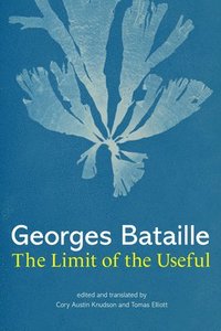 bokomslag Limit of the Useful