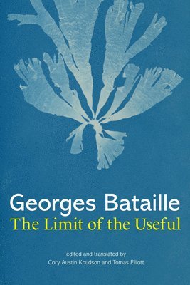 The Limit of the Useful 1