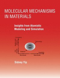 bokomslag Molecular Mechanisms in Materials