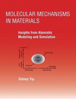 bokomslag Molecular Mechanisms in Materials