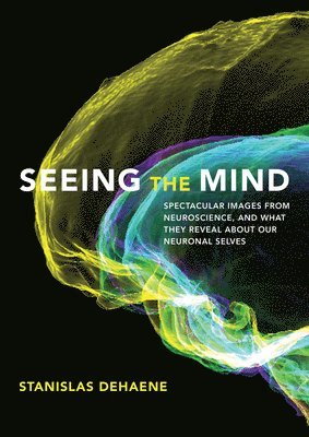 bokomslag Seeing the Mind: Spectacular Images from Neuroscience, and What They Reveal about Our Neuronal Selves