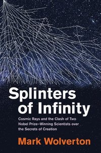 bokomslag Splinters of Infinity