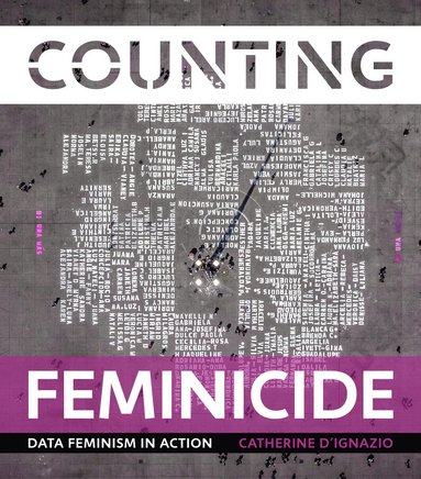 bokomslag Counting Feminicide