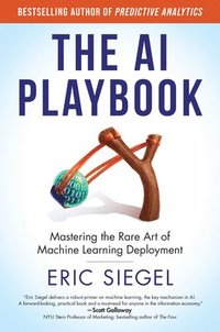 bokomslag The AI Playbook