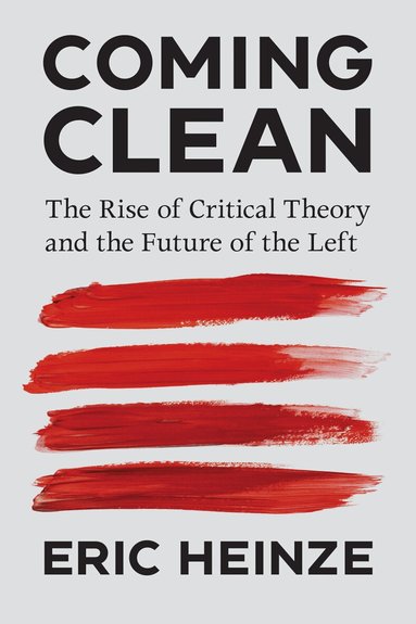 Eric Heinze - Coming Clean, Häftad