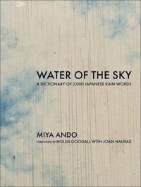 bokomslag Water of the Sky