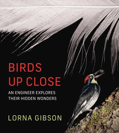 Lorna Gibson - Birds Up Close, Inbunden