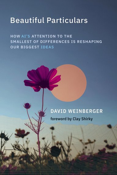David Weinberger - Beautiful Particulars, Inbunden