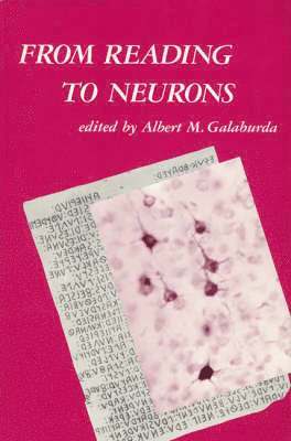 From Reading to Neurons 1