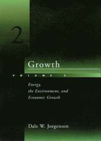 bokomslag Growth: v. 2 Energy, the Environment and Economic Growth