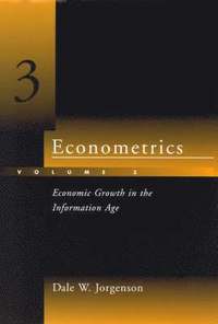 bokomslag Econometrics: Economic Growth in the Informtion Age