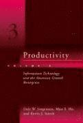 bokomslag Productivity: Volume 3