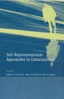 bokomslag Self-Representational Approaches to Consciousness
