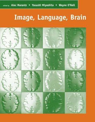 bokomslag Image, Language, Brain