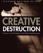 Lee W. McKnight, Paul M. Vaaler, Lee W McKnight, Paul M Vaaler, Raul Luciano Katz - Creative Destruction: Business Survival Strategies in the Global Internet Economy, Inbunden
