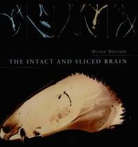 bokomslag The Intact and Sliced Brain