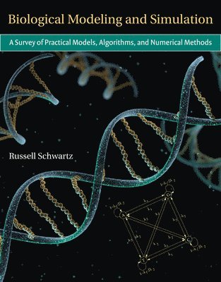 bokomslag Biological Modeling and Simulation