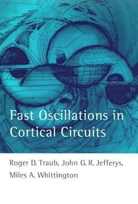 bokomslag Fast Oscillations in Cortical Circuits