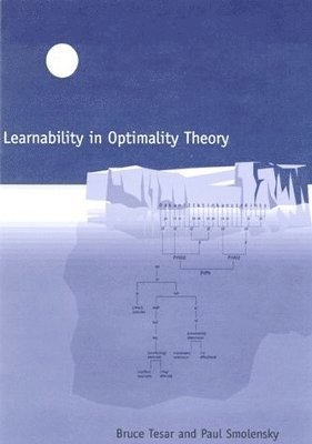 bokomslag Learnability in Optimality Theory