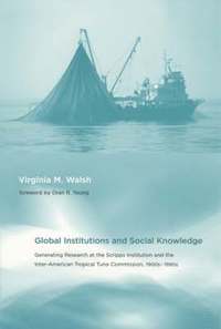 bokomslag Global Institutions and Social Knowledge