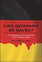 Hans-Werner Sinn - Can Germany Be Saved?, Häftad