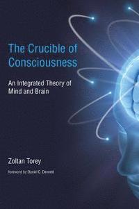 bokomslag The Crucible of Consciousness