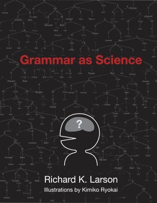 bokomslag Grammar as Science