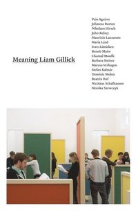 bokomslag Meaning Liam Gillick