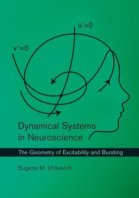 bokomslag Dynamical Systems in Neuroscience