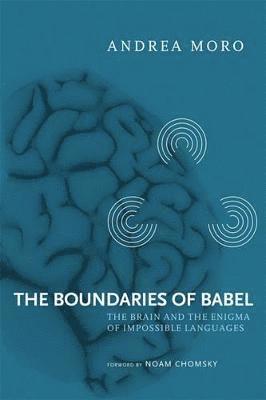 bokomslag The Boundaries of Babel, Volume 46