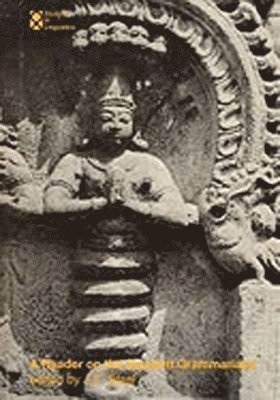 J F. Staal - Reader on the Sanskrit Grammarians, Häftad