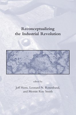 Reconceptualizing the Industrial Revolution 1