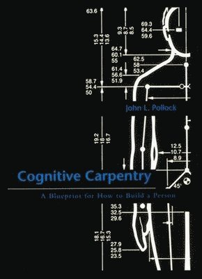 Cognitive Carpentry 1