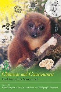 bokomslag Chimeras and Consciousness