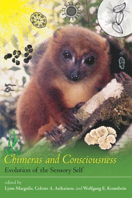 Chimeras and Consciousness 1