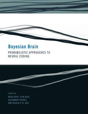 Bayesian Brain 1