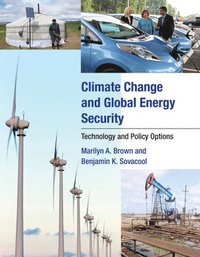 bokomslag Climate Change and Global Energy Security