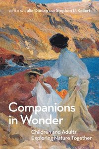 bokomslag Companions in Wonder