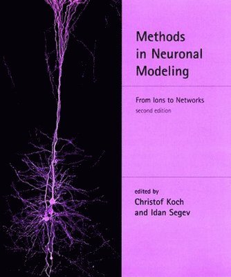 Methods in Neuronal Modeling 1