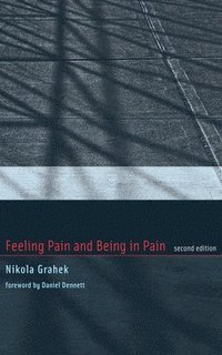 bokomslag Feeling Pain and Being in Pain