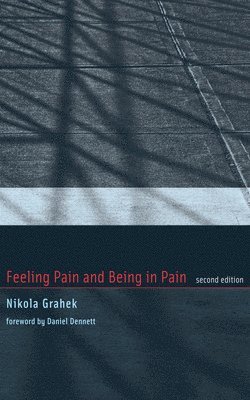 bokomslag Feeling Pain and Being in Pain