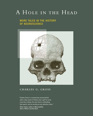 A Hole in the Head 1