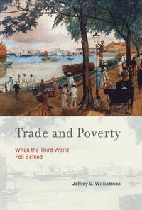 bokomslag Trade and Poverty