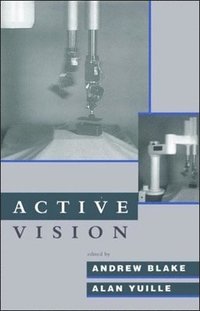 bokomslag Active Vision