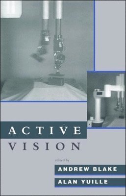 Active Vision 1