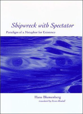 bokomslag Shipwreck with Spectator