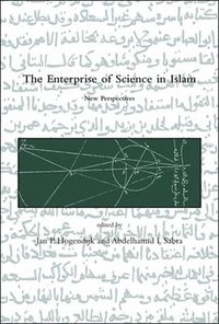 bokomslag The Enterprise of Science in Islam: New Perspectives