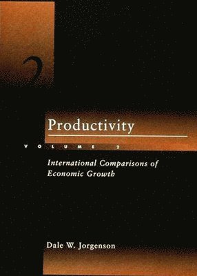 bokomslag Productivity