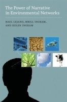 Raul Lejano, Mrill Ingram, Helen Ingram - Power of Narrative in Environmental Networks, Häftad