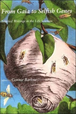 Connie Barlow - From Gaia to Selfish Genes, Häftad